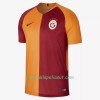 Jalkapallo Pelipaidat Galatasaray Spor Kulübü Kotipaita 2018-2019 Lyhythihainen